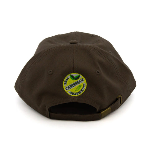 Souvenir - "Sparkling Soda" Walnut 6-Panel Cap