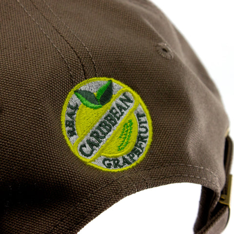 Souvenir - "Sparkling Soda" Walnut 6-Panel Cap