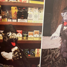 Sahar Melendez - "3OOO: A Saharworld" Book