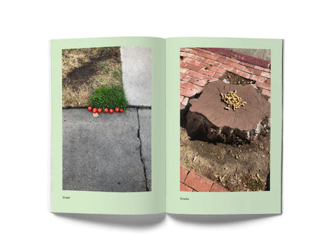 Coloured Publishing - "Street Snacks" Zine