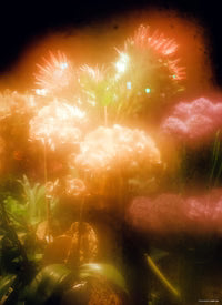 Sneeze Magazine - N°66  "Holiday 2025" Issue