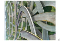 Sneeze Magazine - N°66  "Holiday 2025" Issue