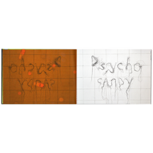 Sandy Kim - "PSYCHOCANDY" Book