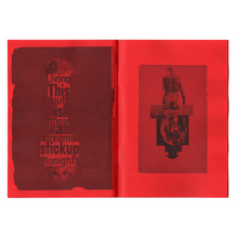 Innen: Dash Snow - "Selected Works From 2001 To 2009" Zine